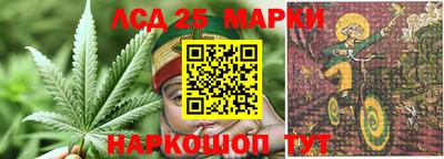 apvp Ливны