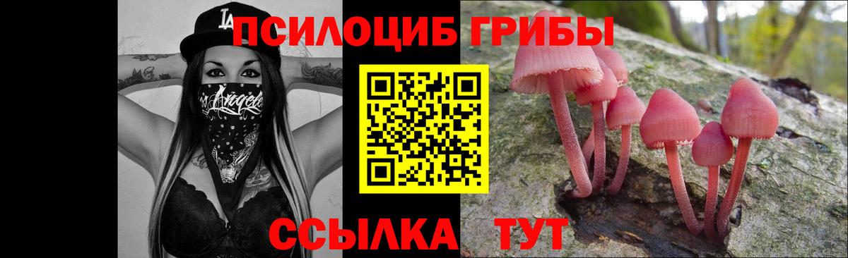 Галлюциногенные грибы прущие грибы Ирбит